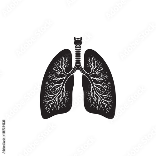 Human lungs silhouette vector illustration. Anatomical respiratory system icon. Black and white medical organ symbol with trachea and bronchial tree isolated on white background. Pulmonary health grap