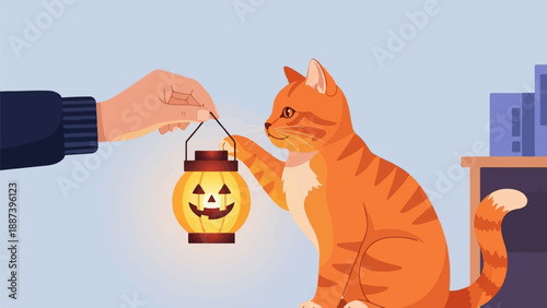 Orange cat curiously inspects a glowing jack-o'-lantern held by a hand