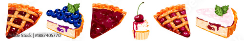 Assorted Fruit Pie and Tart Slices Set with Blueberry Cherry and Cream Fillings