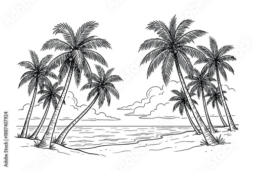 Tropical beach with palm trees drawing. Summer vacation landscape sketch with sea and clouds. Black and white coastal scene illustration.