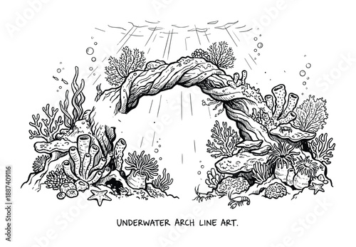 Underwater arch line art with coral and marine life illustration