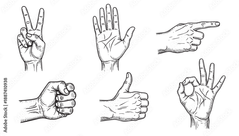 Fototapeta premium Vintage hand gestures set. Detailed sketch of human hands in different poses for tattoo design, illustration, or classical art concept. Isolated vector style.
