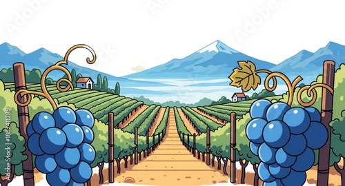 vineyard
