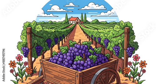 grapes in a vineyard