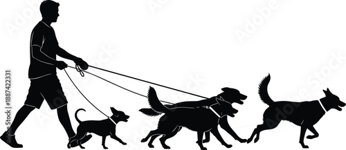 Silhouette of a professional dog walker walking a pack of different breed dogs on leashes, side view vector for pet care services,