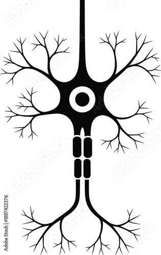 Silhouette set of elderly people using rollator walkers for mobility support independently and with caregiver assistance for geriatric healthcare, nursing home, and rehabilitation,