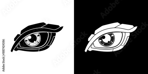 Black and white illustrations of a human eye on split contrasting backgrounds.