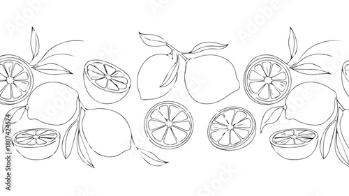Seamless border pattern of line art lemons and leaves in black and white, perfect for design and illustration projects