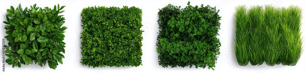 Obraz premium Various green plants creating square foliage textures, showing decorative garden elements and abstract nature backgrounds