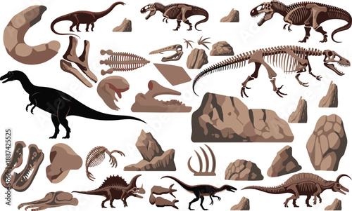 Detailed dinosaur illustration set showing prehistoric reptiles, skeletons, fossils, bones, rocks, educational science artwork, paleontology themed design elements collection