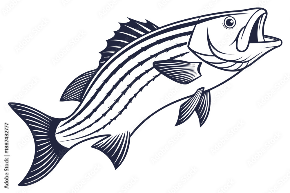Fototapeta premium Fish vector illustration