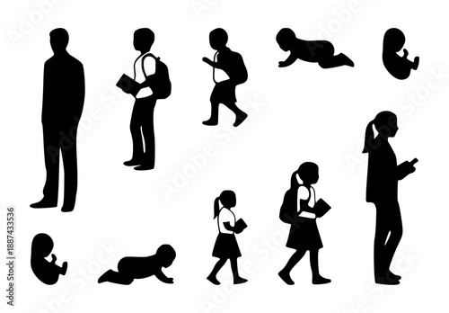 Vector design of human growth cycle from baby to adult, depicted with male and female.