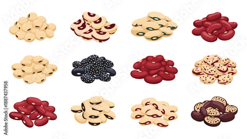 Collection of twelve different types of dried beans and legumes like soy red kidney and black beans for healthy food concept on white.