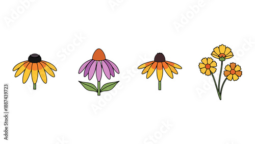 Stylized Colorful Coneflowers and Daisies Vector Illustration Set.