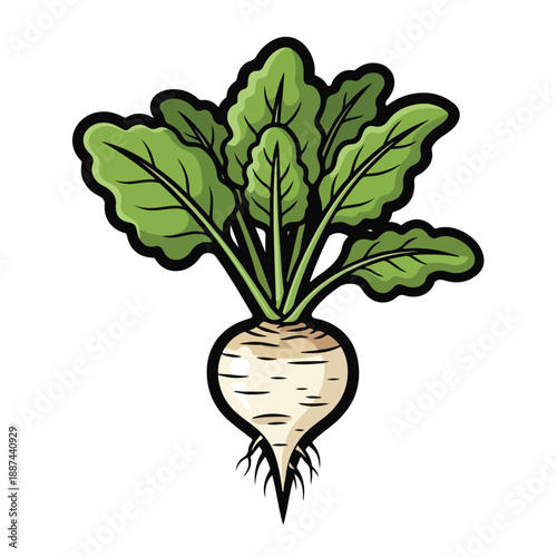 A cartoonish drawing of a turnip with green leaves