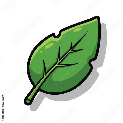 A cartoonish green leaf with a stem