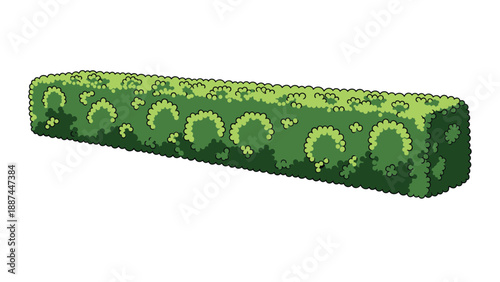 Long rectangular green garden hedge or bush neatly trimmed isolated on a plain white background for landscaping.