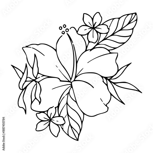 tropical hibiscus and frangipani flower bouquet line art