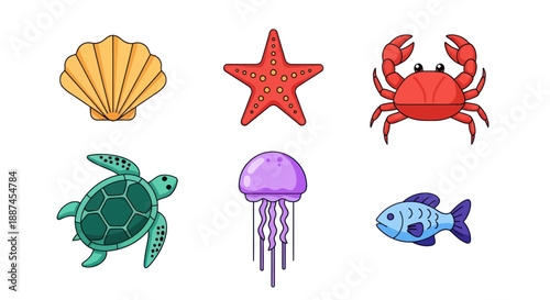 Colorful marine life illustrations seashell starfish crab turtle jellyfish and fish