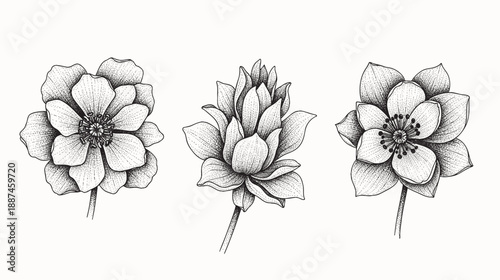 Set with spring garden flowers.