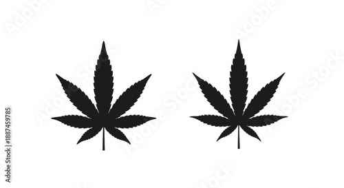 Two cannabis leaves presented as dark shapes a striking silhouette