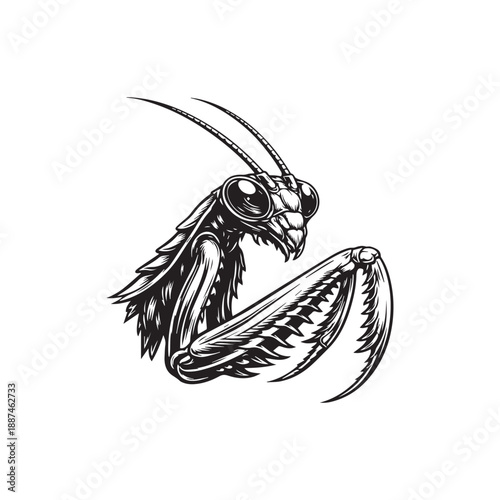 Praying Mantis Head Side View Vector with Detailed Forelegs in Black and White