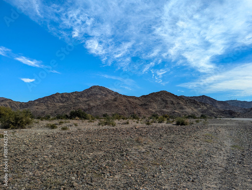 Sonora Desert Yuma Arizona Reference Photo