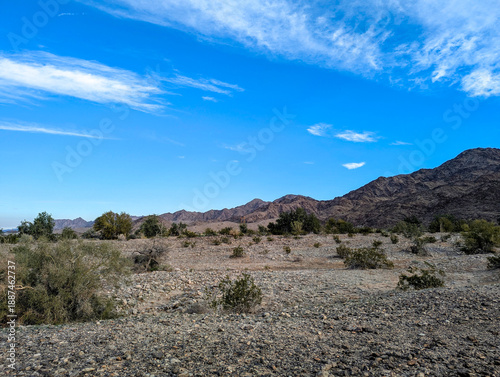 Sonora Desert Yuma Arizona Reference Photo