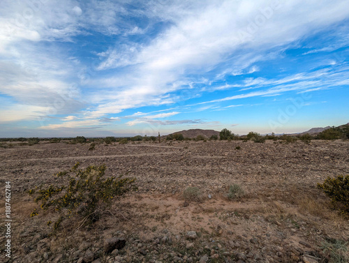 Sonora Desert Yuma Arizona Reference Photo