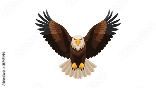 Bald Eagle Vector Illustration Majestic Bird of Prey