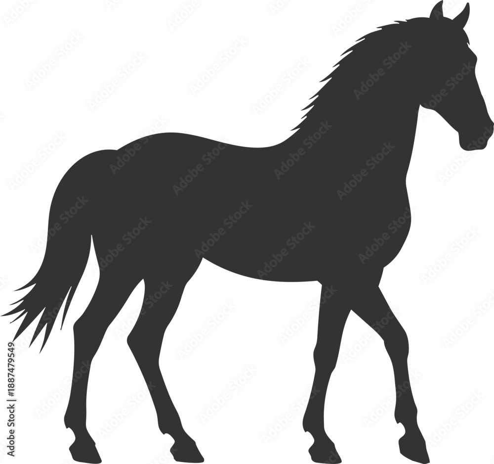 Obraz premium 말 실루엣 그림자