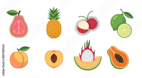 Colorful vector illustrations of various tropical fruits on white background