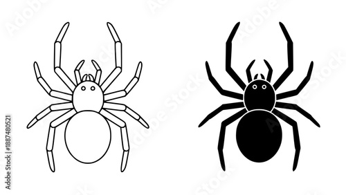 High-quality black and white illustrations of a spider from different artistic styles on a clean white background.