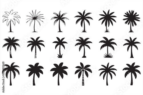 Minimal Palm Tree Silhouettes for Resort Logos, Summer Graphics