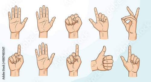 Set of hand illustrations showing common gestures like pointing, a thumbs up, a fist, and signs for effective non-verbal human communication.