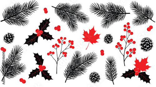 Christmas winter botanical illustration set with pine branches holly berries cones maple leaves and festive seasonal decorations