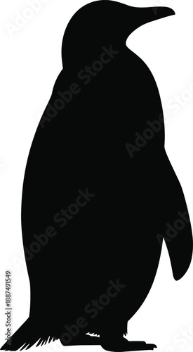 Penguin silhouette isolated on white background representing wildlife animal bird nature arctic antarctic cold environment minimalist design illustration