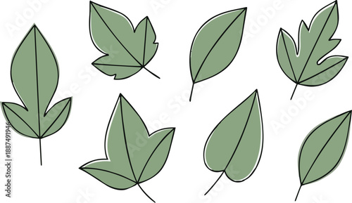 Assorted Green Leaves with Black Outline and White Background leaf nature
