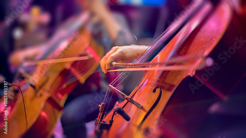 A cellist in an orchestra plays at a concert.