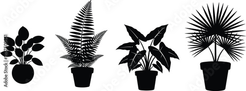Collection of Potted Houseplant Silhouettes, Black Indoor Plant Icons Including Fern and Palm for Home Interior Decoration Graphic Design Vector