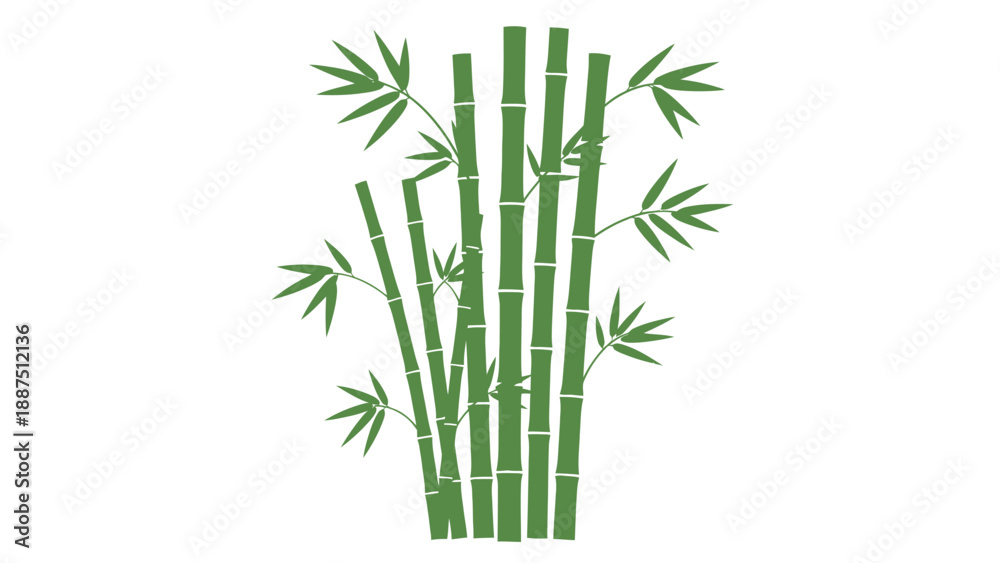 Obraz premium Green Bamboo Stems Silhouette Illustration on White Background