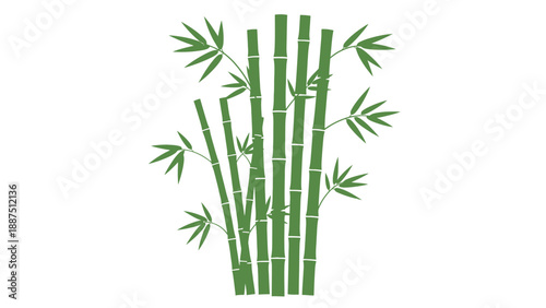 Green Bamboo Stems Silhouette Illustration on White Background