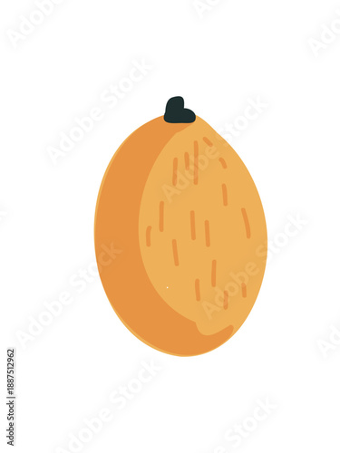 fresh ripe melon ready to eat