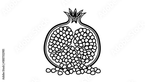 Pomegranate fruit half slice illustration in black and white line art