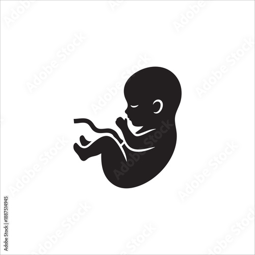 Fetus icon. isolated on white background