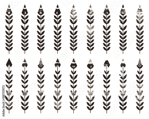 Conjunto de ilustraciones botánicas de espigas de trigo y flores en estilo rústico, fondo transparente.