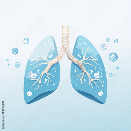 Human Lungs Anatomy Illustration.