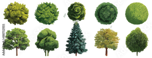 Coleção de árvores verdes de diferentes formas e tamanhos com fundo transparente para design gráfico.