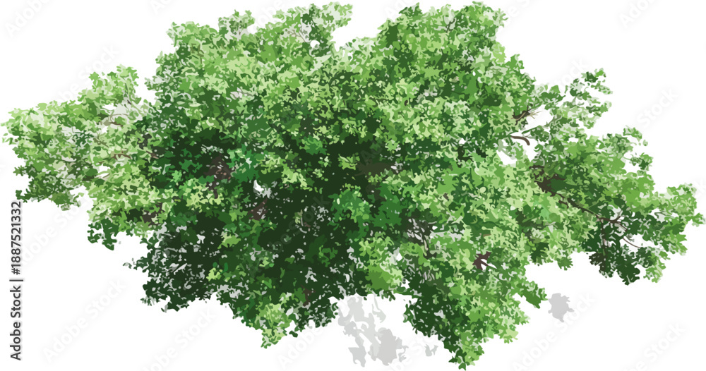 Fototapeta premium Árvore verde frondosa com folhas detalhadas e sombra projetada, isolada em fundo transparente.