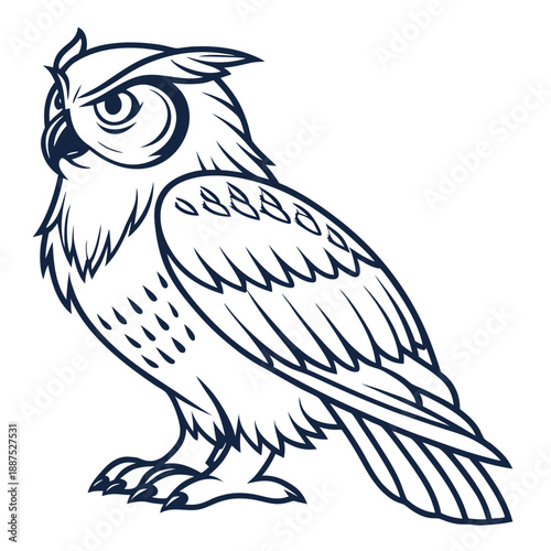 Illustrated owl